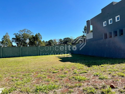 Foto Terreno