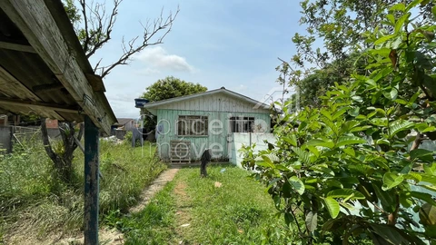 Foto Terreno