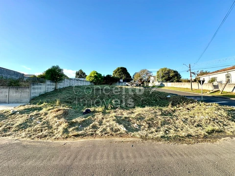 Foto Terreno