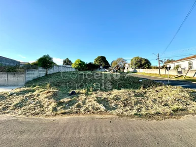 <strong>Terreno com 490m² - Jardim Europa - Oficinas</strong>