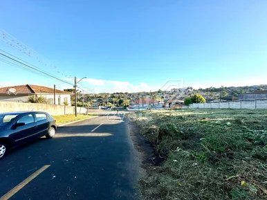 Terreno Com 490m² - Jardim Europa - Oficinas