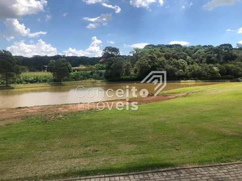Foto Terreno