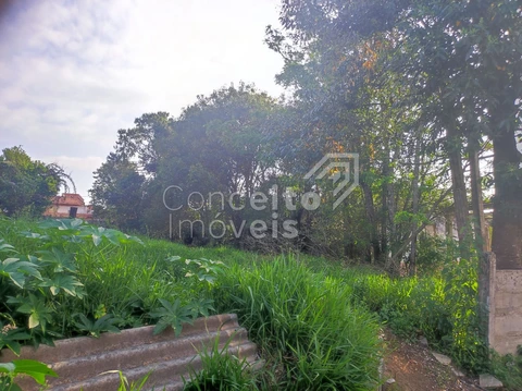 Foto Terreno