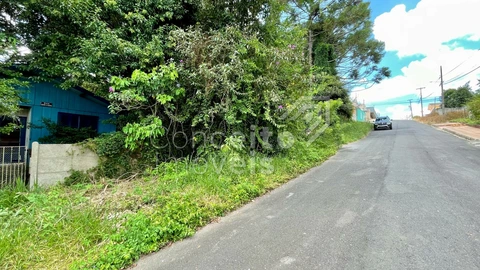 Foto Terreno