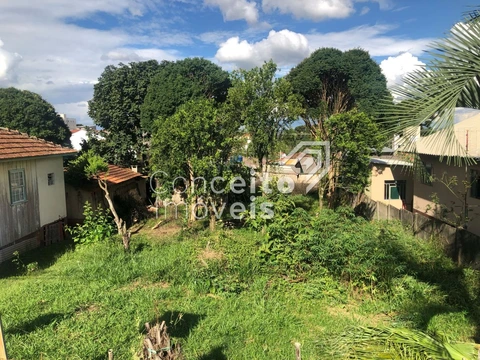 Foto Terreno