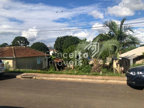 Foto Terreno