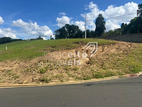 Foto Terreno