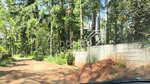 Foto Rural
