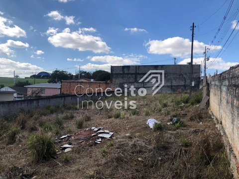 Foto Terreno