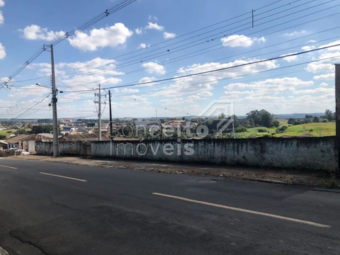 Foto Terreno