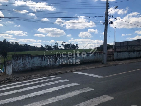 Foto Terreno