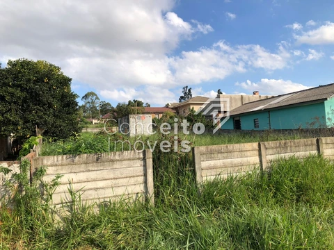 Foto Terreno