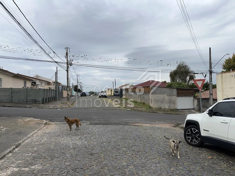 Foto Terreno