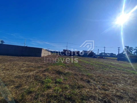 Foto Terreno