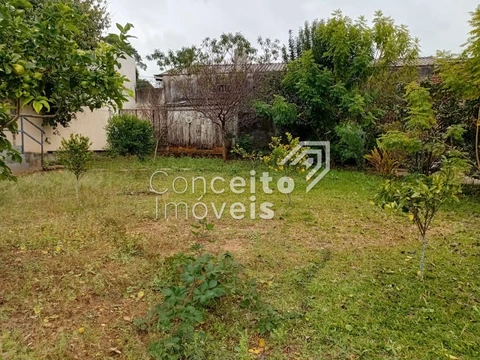 Foto Terreno