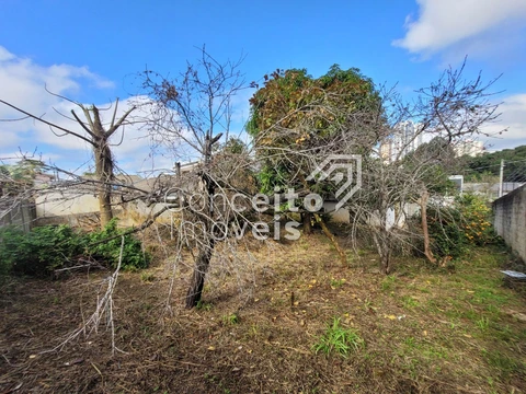 Foto Terreno