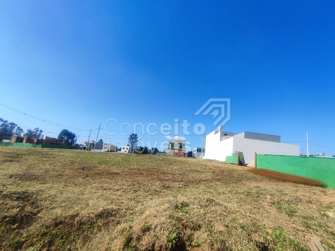Foto Terreno