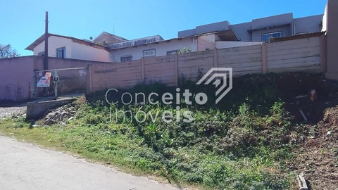 Foto Terreno