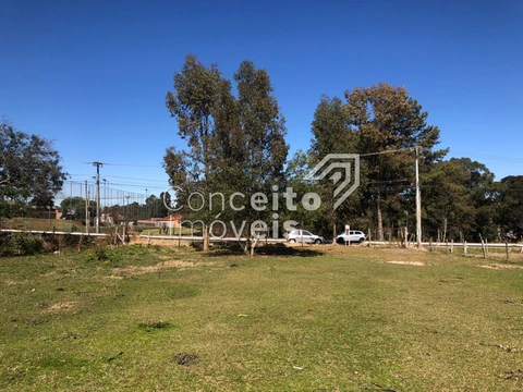 Foto Terreno