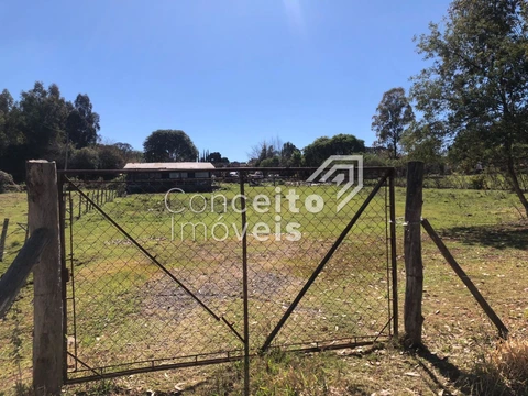 Foto Terreno