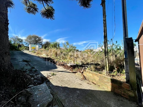 Foto Terreno