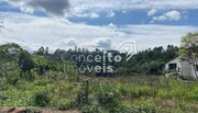 <strong>Chácara com 5.035 m² - Alto do Amparo - Tibagi</strong>
