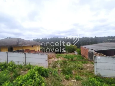 <strong>Terreno com 408 m² - Colônia Dona Luiza</strong>