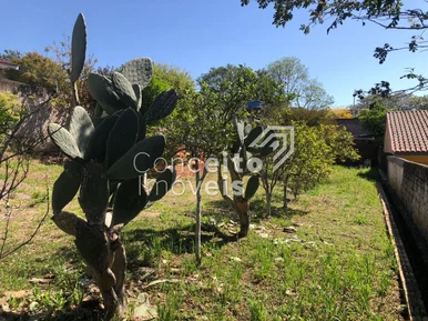 Terreno Com 490m² - Oficinas