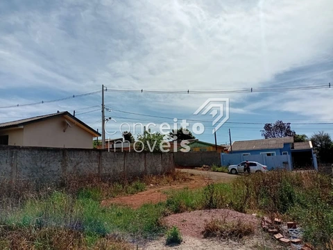 Foto Terreno
