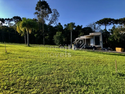 Foto Terreno