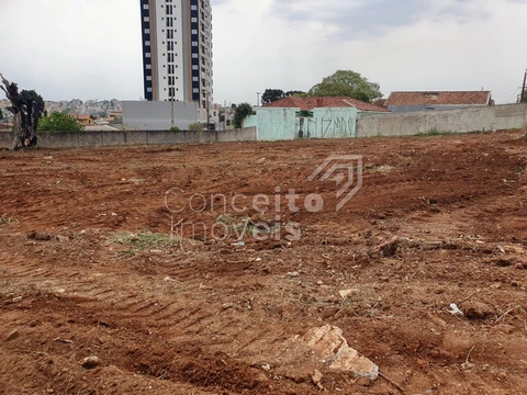 Foto Terreno