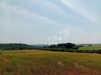 Terreno 24.000 M² - Bairro Piriquitos