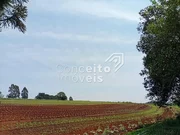 <strong>Terreno 24.000 m² - Bairro Piriquitos</strong>