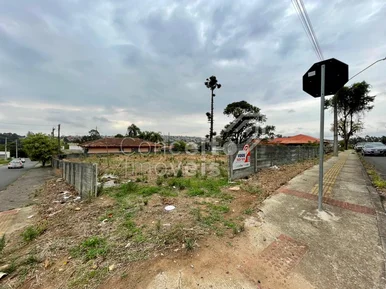 Terreno De Esquina Com 924 M² - órfãs