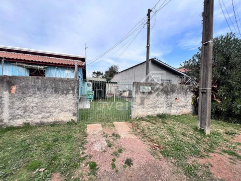 Foto Terreno