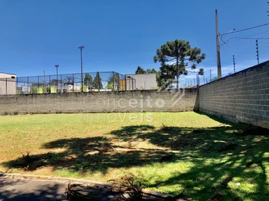 <strong>Condomínio Genésio Borsato - Uvaranas - Terreno com 253m²</strong>