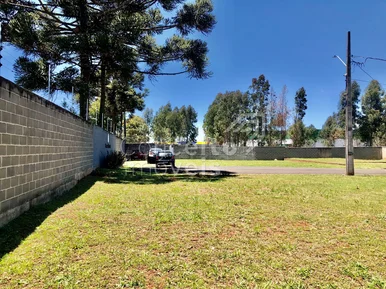 Condomínio Genésio Borsato - Uvaranas - Terreno Com 253m²