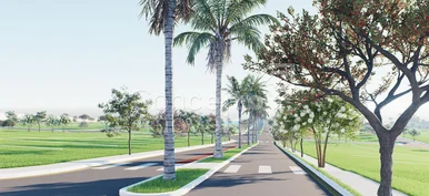 Condomínio Araucárias Park Residence & Resort - Terrenos