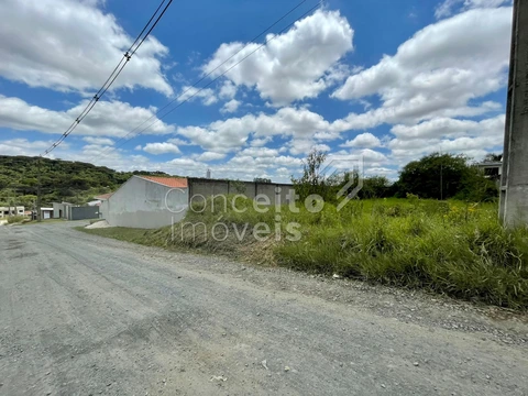 Foto Terreno