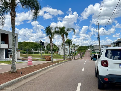 Foto Terreno