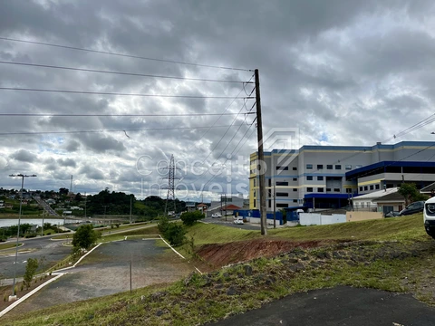 Foto Terreno