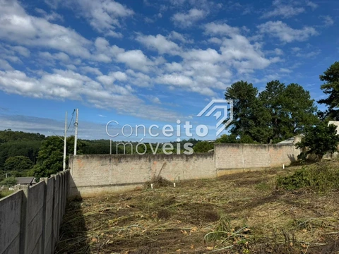 Foto Terreno