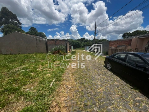 Foto Terreno