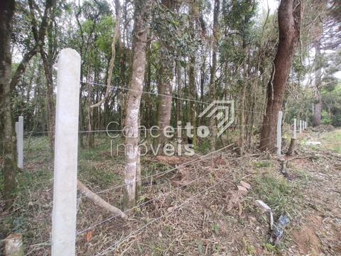 Foto Terreno