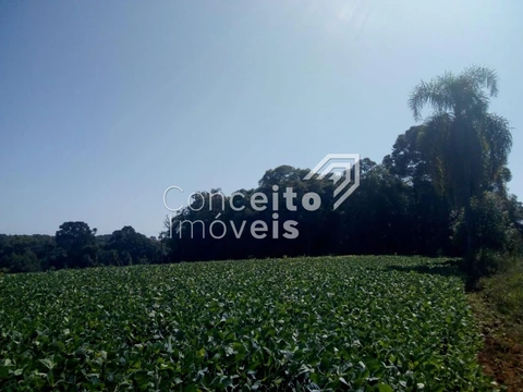 Foto Terreno