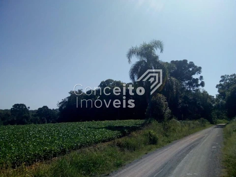 Foto Terreno