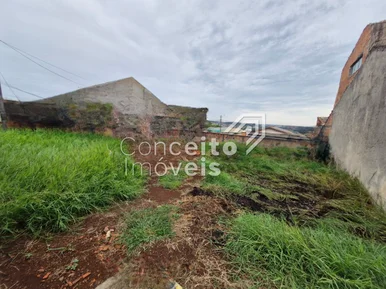 Terreno Com 300m² - Uvaranas