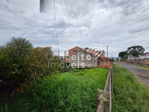 Foto Terreno