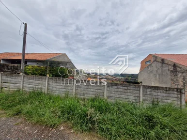 Terreno Com 300m² - Uvaranas