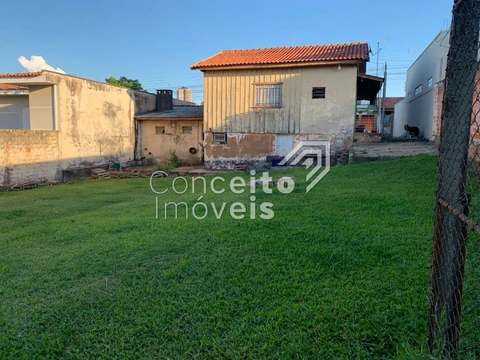 Foto Terreno
